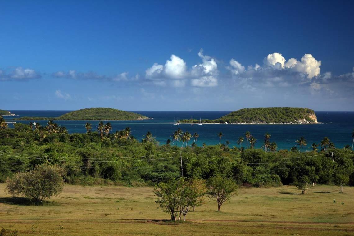 Hacienda Tamarindo Hotel Vieques Eksteriør billede